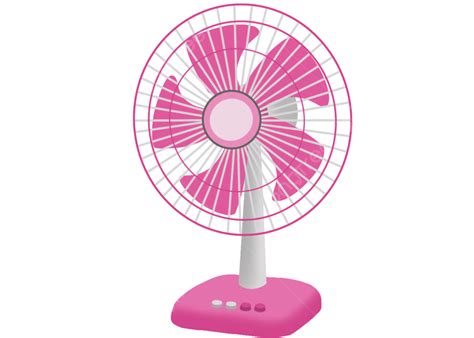 The Fan